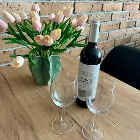 Apartment Turzycowa Loft - Stylish