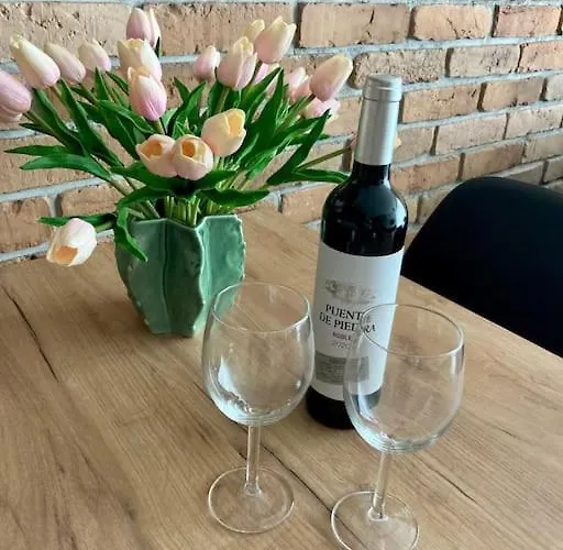 شقة Turzycowa Loft - Stylish